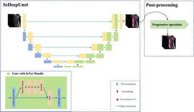 SeUneter: Channel attentive U-Net for instance segmentation of the cervical spine MRI medical image